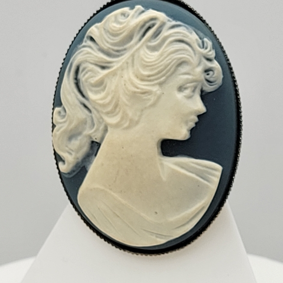 Stunning Vintage Cameo C-Clasp Brooch in Blue and Cream - Picture 5 of 11